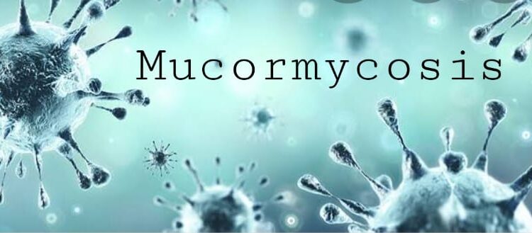 Mucormycosis The Black Fungus